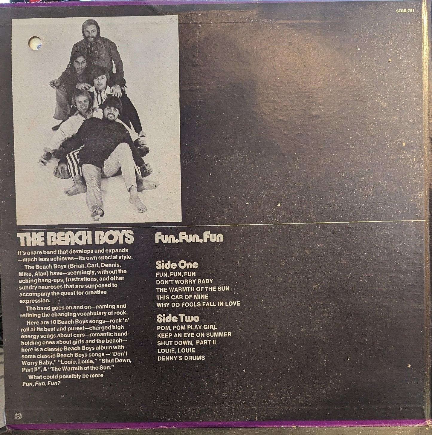 The Beach Boys - Fun, Fun, Fun *WINCHESTER* | Near Mint (NM) Very Good Plus (VG+)-