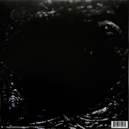 Lady Gaga - Chromatica (VINYL) | Near Mint (NM) Near Mint (NM)-