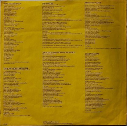 Air Supply - Now And Forever (VINYL) | Near Mint (NM) Very Good Plus (VG+)-