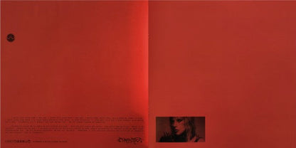 Lady Gaga - Chromatica (VINYL) | Near Mint (NM) Near Mint (NM)-