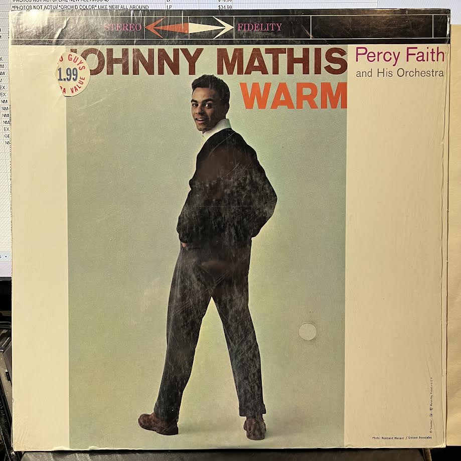 Warm (VINYL) | Near Mint (NM) Near Mint (NM)--