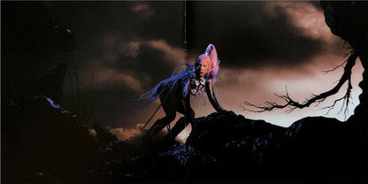 Lady Gaga - Chromatica (VINYL) | Near Mint (NM) Near Mint (NM)-
