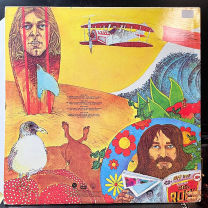 The Beach Boys - Endless Summer (2xVINYL) | Very Good Plus (VG+) Excellent (EX)-