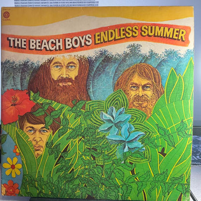 The Beach Boys - Endless Summer (2xVINYL) | Very Good (VG) Very Good (VG)--