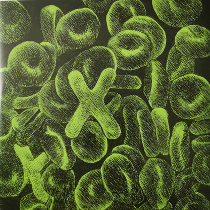 Ed Sheeran - X | Mint (M) Mint (M)-