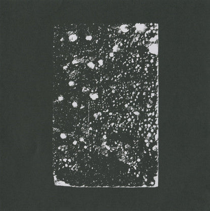 Portico Quartet - Living Fields | Mint (M) Mint (M)-