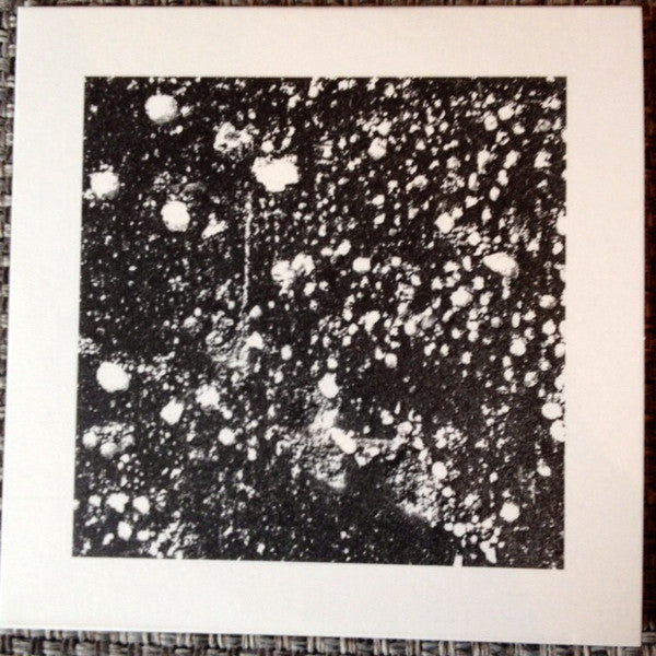 Portico Quartet - Living Fields | Mint (M) Mint (M)-