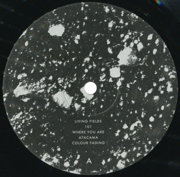 Portico Quartet - Living Fields | Mint (M) Mint (M)-