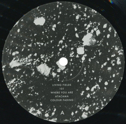 Portico Quartet - Living Fields | Mint (M) Mint (M)-