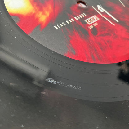 Dead Can Dance - Spiritchaser (VINYL) | Mint (M) Mint (M)-