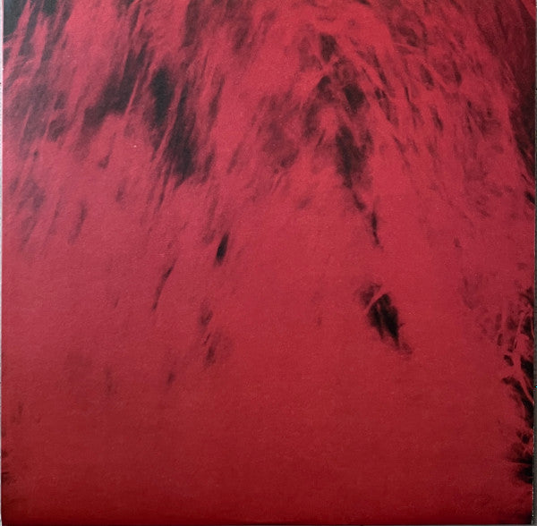 Dead Can Dance - Spiritchaser (VINYL) | Mint (M) Mint (M)-