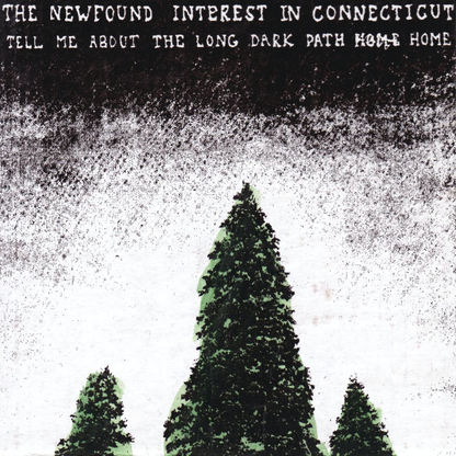 The Newfound Interest In Connecticut - Tell Me About The Long Dark Path Home (2xVINYL) | Mint (M) Mint (M)-