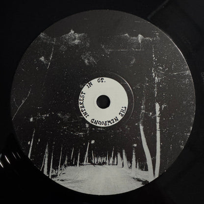 The Newfound Interest In Connecticut - Tell Me About The Long Dark Path Home (2xVINYL) | Mint (M) Mint (M)-