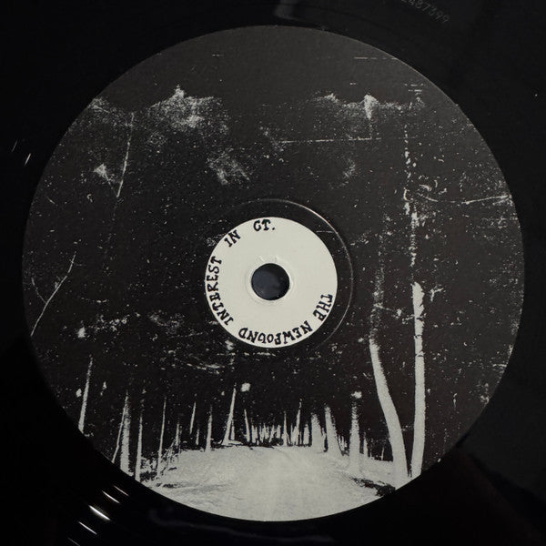 The Newfound Interest In Connecticut - Tell Me About The Long Dark Path Home (2xVINYL) | Mint (M) Mint (M)-