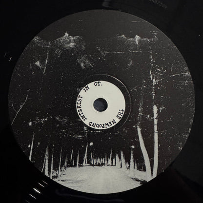 The Newfound Interest In Connecticut - Tell Me About The Long Dark Path Home (2xVINYL) | Mint (M) Mint (M)-