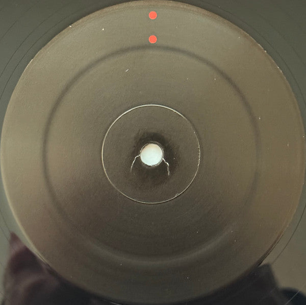 Gastr Del Sol - Camoufleur (VINYL) |-