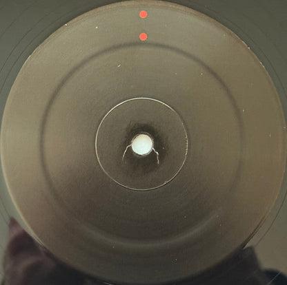 Gastr Del Sol - Camoufleur (VINYL) |-