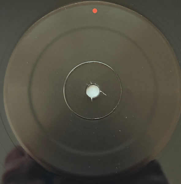 Gastr Del Sol - Camoufleur (VINYL) |-