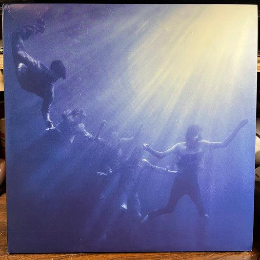 Foals - Total Life Forever (2xVINYL) | Near Mint (NM) Near Mint- (NM-)-
