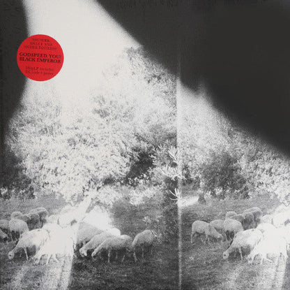 Godspeed You Black Emperor! Asunder, Sweet And Other Distress LP Mint (M) Mint (M)-