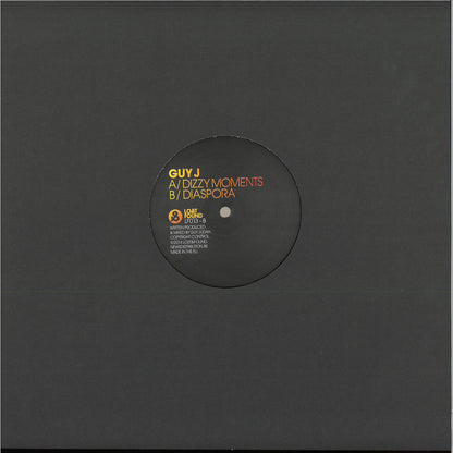 Guy J - Dizzy Moments (VINYL 12" Lost & Found LF013 2021) | NEW-