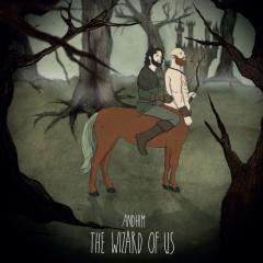 andhim - The Wizard Of Us (VINYL 12") | Mint (M) Mint (M)-