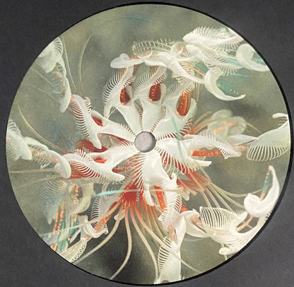 Cassian - Dun Dun (VINYL) | Mint (M) Mint (M)-