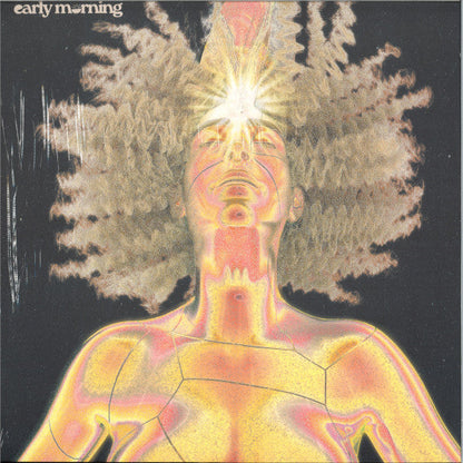 Forgotten (VINYL) | Mint (M) Mint (M)-