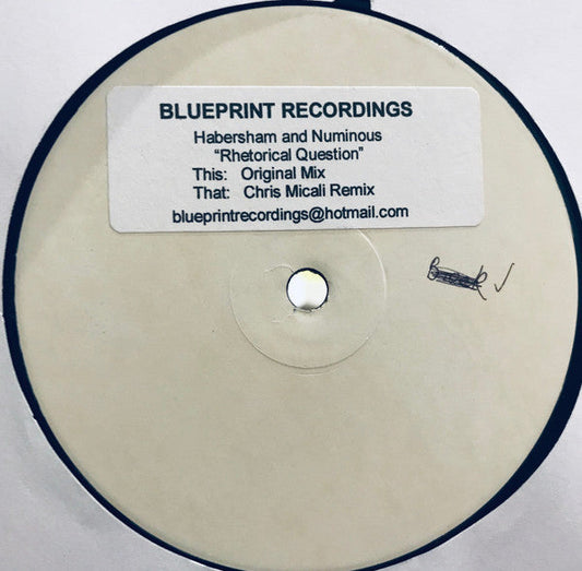Habersham & Numinous - Rhetorical Question (12") | Near Mint (NM) Near Mint (NM)-