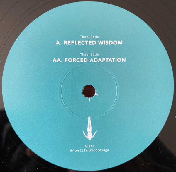 Five Phases - Reflected Wisdom | Mint (M) Mint (M)-