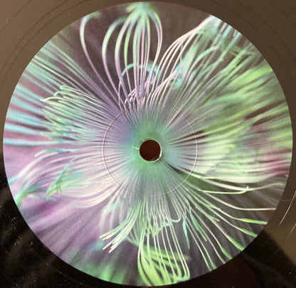 Five Phases - Reflected Wisdom | Mint (M) Mint (M)-