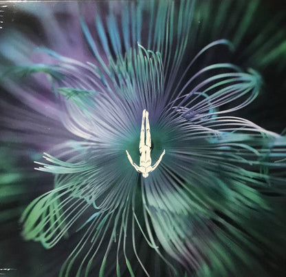 Five Phases - Reflected Wisdom | Mint (M) Mint (M)-