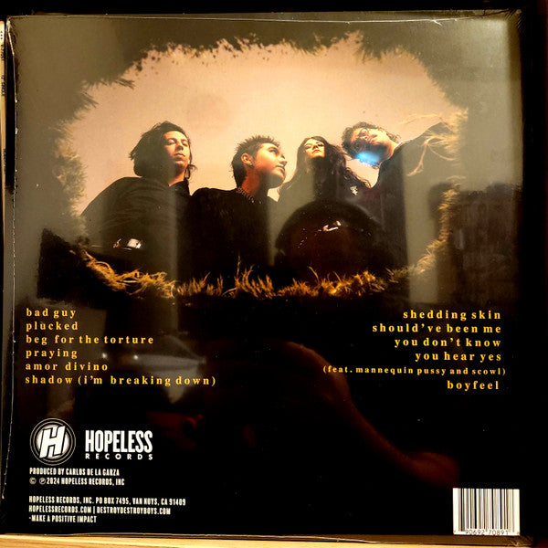 Destroy Boys - Funeral Soundtrack #4 (TRANSPARENT RED VINYL) | Mint (M) Mint (M)-