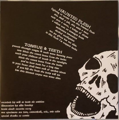Haunted Flesh (VINYL 7") | Mint (M) Mint (M)-