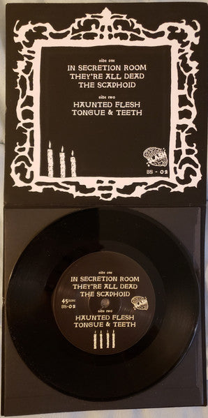 Haunted Flesh (VINYL 7") | Mint (M) Mint (M)-