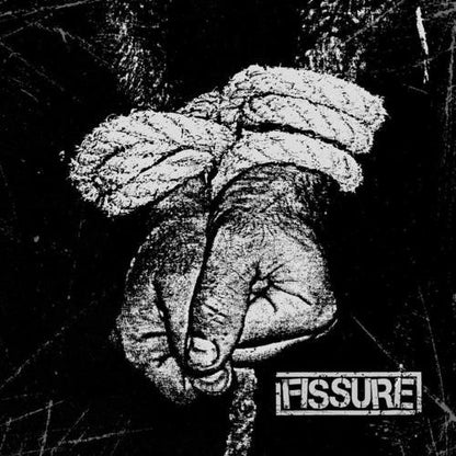 Fissure (3) - Fissure (VINYL 7") | Mint (M) Mint (M)-