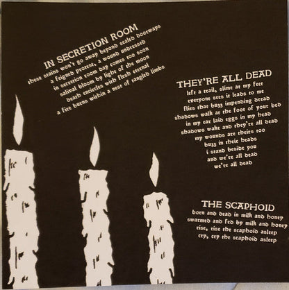 Haunted Flesh (VINYL 7") | Mint (M) Mint (M)-