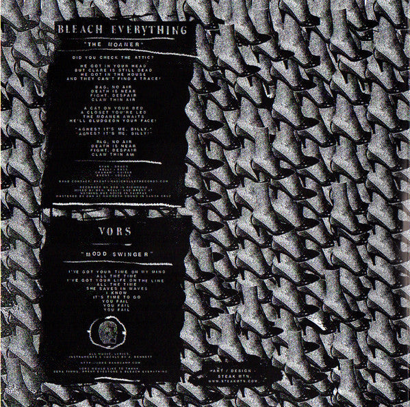 Bleach Everything - Bleach Everything / VORS – Split (VINYL 7") | Mint (M) Mint (M)-