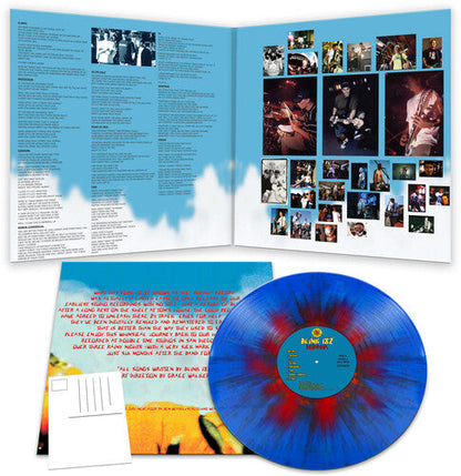 blink-182 - Buddha (BLUE & RED SPLATTER VINYL) | Mint (M) Mint (M)-