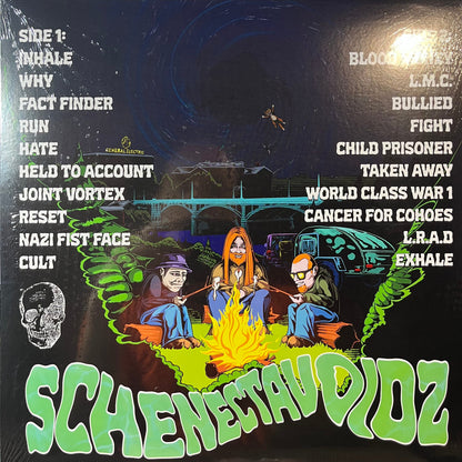 Schenectavoidz - Void Beyond The Pines (RANDOM COLOR VINYL) | Mint (M) Mint (M)-