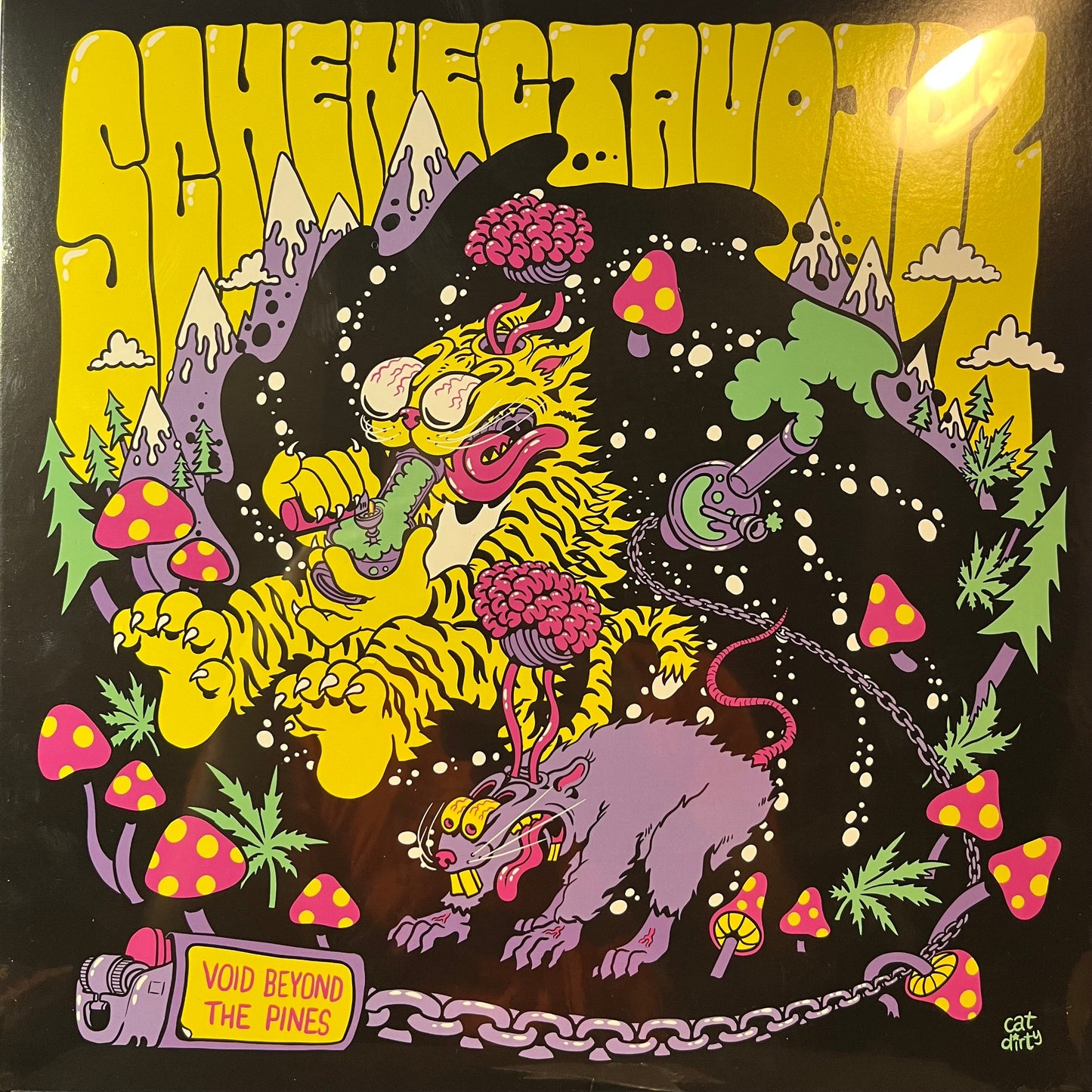 Schenectavoidz - Void Beyond The Pines (RANDOM COLOR VINYL) | Mint (M) Mint (M)-
