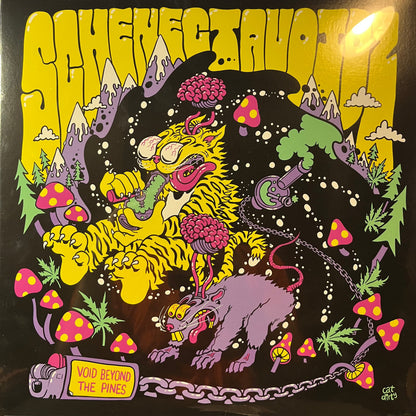Schenectavoidz - Void Beyond The Pines (RANDOM COLOR VINYL) | Mint (M) Mint (M)-