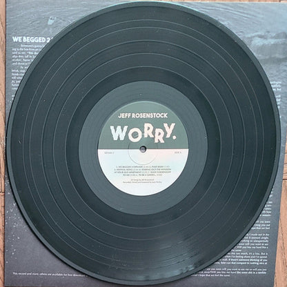 Worry. *DINGED* (VINYL) | Mint (M) Excellent (EX)-