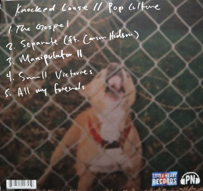 Knocked Loose - Pop Culture (VINYL) | Mint (M) Mint (M)-
