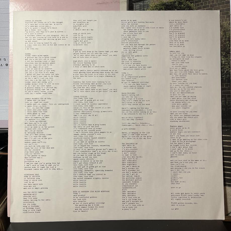 Sonic Youth - A Thousand Leaves (2xVINYL) | Near Mint (NM) Excellent (EX)-