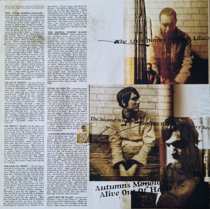 From Autumn To Ashes - The Fiction We Live (PINK VINYL) | Near Mint (NM) Mint (M)--