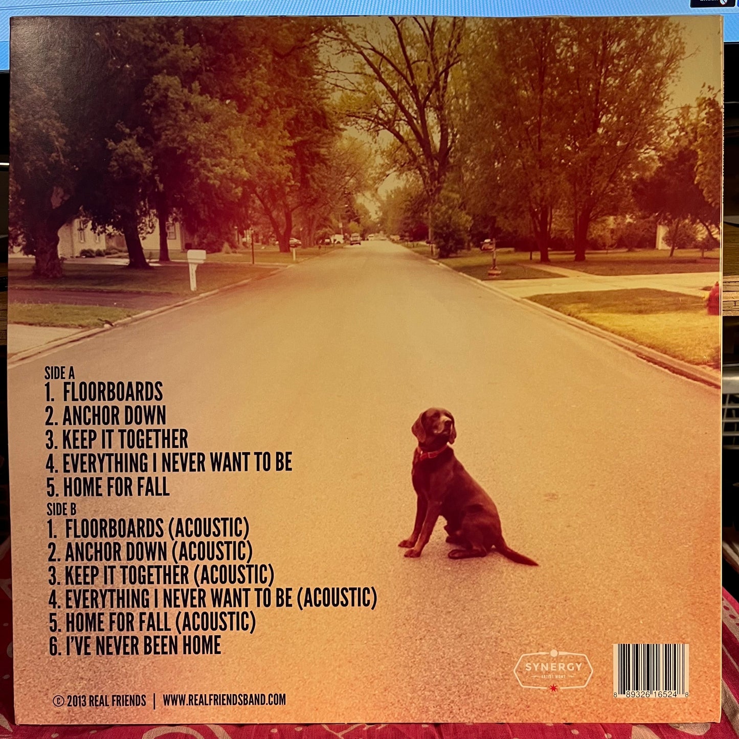 Real Friends - Everyone That Dragged You Here *WHITE* | Near Mint (NM) Near Mint (NM)-