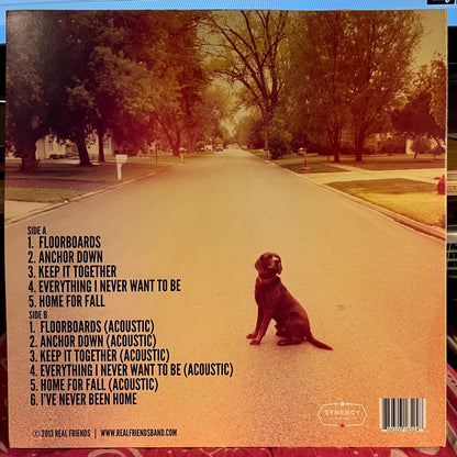 Real Friends - Everyone That Dragged You Here *WHITE* | Near Mint (NM) Near Mint (NM)-
