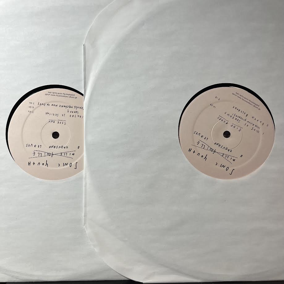 Sonic Youth - A Thousand Leaves (2xVINYL) | Near Mint (NM) Excellent (EX)-
