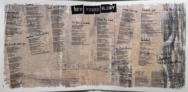 New Found Glory - Sticks And Stones (WHIRLPOOL VINYL) | Near Mint (NM) Near Mint (NM)-